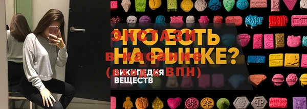 сатива Кулебаки